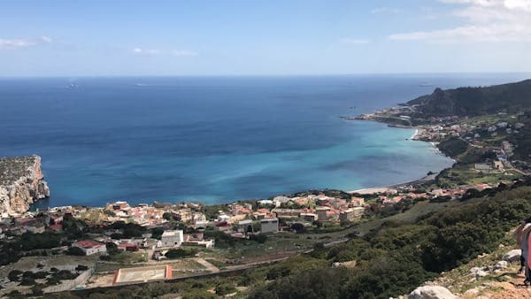 Cartofi prăjiți cu salate